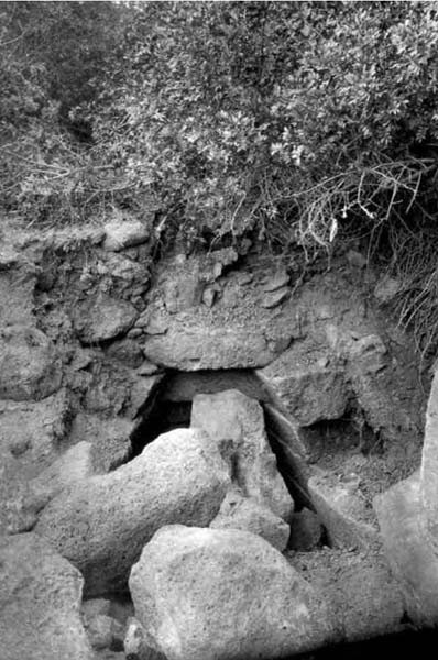 Immagine del pozzo di Santa Cristina alla fine dell’800 in una foto di Peter Paul Mackey e rilevamento del Newton (ph. A. Moravetti, 2003)